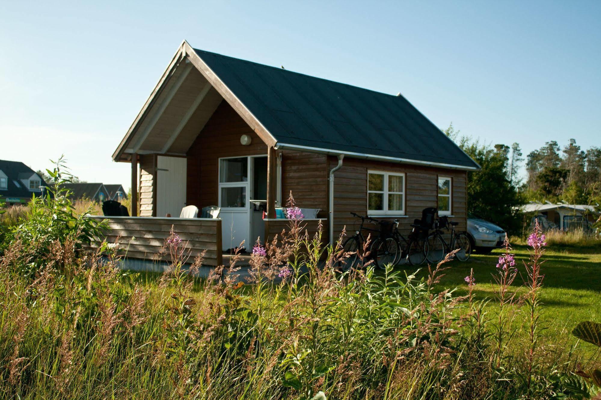 First Camp Rabjerg Mile - Campeggio Skagen